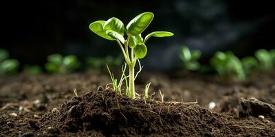 ai gegenereerd planten en groente foto