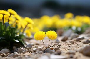 ai gegenereerd bloemen behang Aan landschappen foto