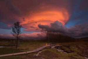 pittoreske landschap met groen natuur in IJsland foto