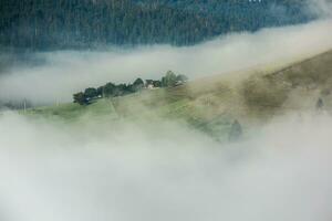 zomer landschap in de Karpaten bergen. visie van de berg top hoverla. mooi oekraïens berg Karpaten hoverla. foto