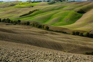 geoogst velden en weiden landschap in Toscane, Italië. golvend land landschap Bij herfst zonsondergang. akkerbouw land- klaar voor de agrarisch seizoen. foto