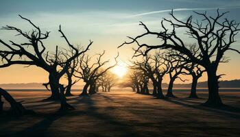 ai gegenereerd silhouet van boom Afdeling verlicht door zonsondergang, natuur schoonheid gegenereerd door ai foto