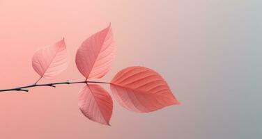 ai gegenereerd roze blad met een licht groen achtergrond foto
