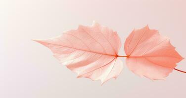 ai gegenereerd roze blad met een licht groen achtergrond foto