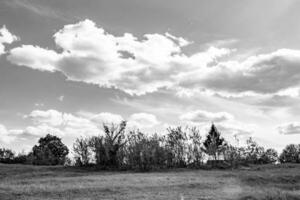 mooi horizon landschap in dorp weide Aan kleur natuurlijk achtergrond foto