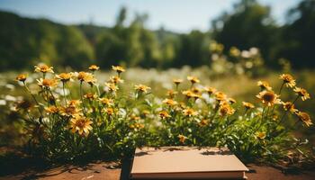 ai gegenereerd vers geel madeliefje bloesems in rustig weide, omringd door groen gegenereerd door ai foto