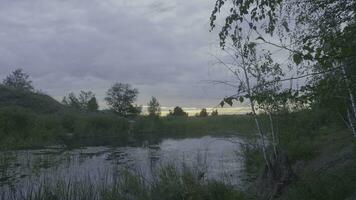 nevelig ochtend- Aan moeras Bij schemer in de lente. moeras Bij schemer foto