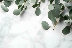 ai gegenereerd takken van eucalyptus bladeren Aan een marmeren achtergrond foto
