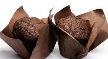 twee chocola muffins Aan een wit achtergrond . muffin met chocola chips. foto