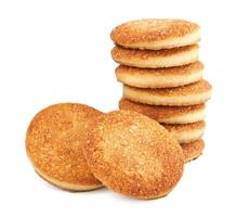 mooi ronde koekjes geïsoleerd Aan een wit achtergrond. meerdere koekjes Aan een wit achtergrond. foto