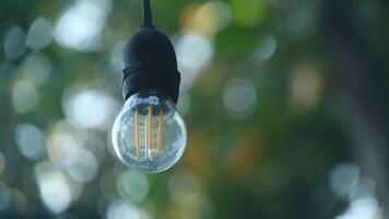 kleine lampjes met de achtergrond van bokeh bomen foto