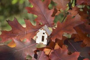 model van een klein houten huis in het bos foto