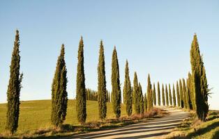 de Toscaans heuvels foto