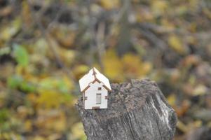 model van een klein houten huis in het bos foto