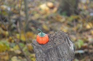 kleine herfstpompoen voor halloween in het bos foto