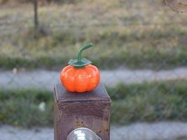 kleine herfstpompoen voor halloween in het bos foto