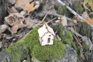 model van een klein houten huis in het bos foto