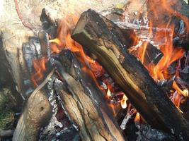 natuurlijk vuur verbrandt brandhout foto