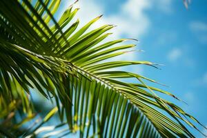 ai gegenereerd dichtbij omhoog van een palm boom blad met een blauw lucht in de achtergrond foto