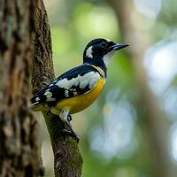 ai gegenereerd fotograaf van een mooi kleurrijk vogel in de amazon regenwoud in Brazilië foto