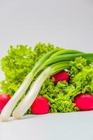 groen salade bladeren, rood radijs en groen ui Aan een wit achtergrond foto