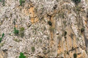 landschap, structuur - puur rotsachtig muur met scheuren en vegetatie foto