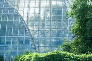 visie van de glas muur van een groot wijnoogst palm kas achter de buitenshuis bomen foto