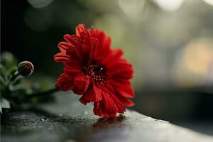 ai gegenereerd een rood bloem is zittend Aan top van tafel foto