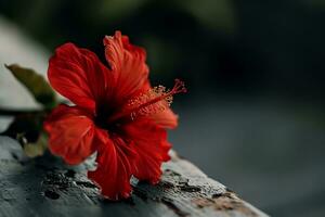 ai gegenereerd een rood bloem is zittend Aan top van tafel foto