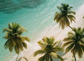 ai gegenereerd een antenne visie van een wit zanderig strand en palm bomen foto