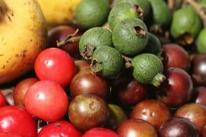 rood fruit Aan houten achtergrond. flacourtia inermis, bekend algemeen net zo lovi-lovi. foto