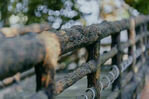 structuur van een houten boom brug. selectief focus. foto