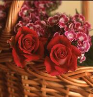 een rieten mand met twee rood rozen in het foto