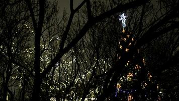 mooi stad Kerstmis boom met slingers Aan achtergrond van donker nacht lucht. concept. mooi helder Kerstmis boom met slingers Aan bewolkt winter dag foto