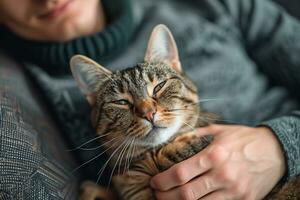 ai gegenereerd jong Mens zittend Aan een grijs sofa liefkozingen de hoofd van een bruin gestreept kat foto