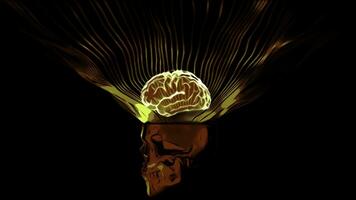 3d schedel met hersenen verlichting. ontwerp. helder neon hersenen met gloed Aan zwart achtergrond. neon animatie van schedel met hersenen foto