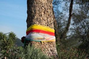 een kleurrijke doek gewikkeld rond een grote boom met gelovigen in het park, geloof in religie voor gezondheid en geluk, het echte doel is dat het een strategie was om het kappen van grote bomen te voorkomen concept foto