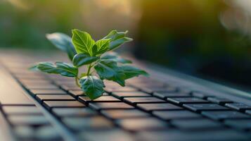 ai gegenereerd generatief ai, fabriek groeit van de laptop toetsenbord. ecologie en milieu concept foto