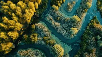 ai gegenereerd generatief ai, antenne visie van labyrint waterwegen, dar foto, mooi landschap foto