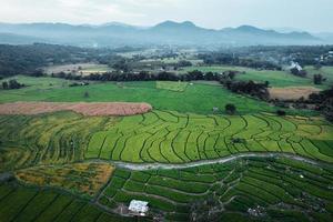 groene rijstvelden en landbouw vanuit een hoge hoek