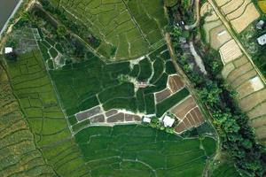 groene rijstvelden en landbouw vanuit een hoge hoek