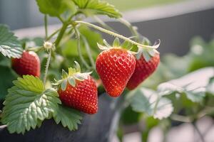 ai gegenereerd detailopname aardbei na regen in tuin door ai generatief foto