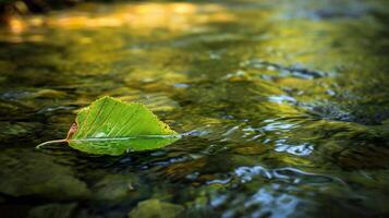 ai gegenereerd een blad drijft in een stroom van water foto