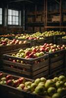 ai gegenereerd een kleurrijk assortiment van appels in kratten foto