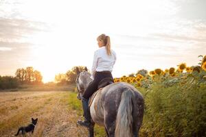 vrouw liefdes een paard. liefde en vriendschap voor de dier, zorg foto