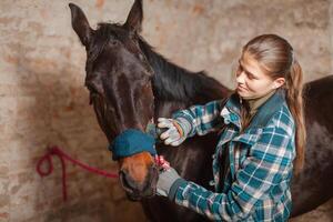 de meisje reinigt de paard van stof en aarde met een speciaal borstel. foto