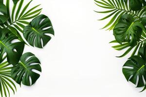 ai gegenereerd foto groen tropisch palm bladeren monstera Aan wit achtergrond generatief ai