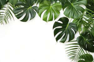 ai gegenereerd foto groen tropisch palm bladeren monstera Aan wit achtergrond generatief ai