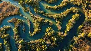 ai gegenereerd generatief ai, antenne visie van labyrint waterwegen, dar foto, mooi landschap foto