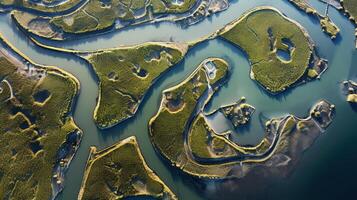 ai gegenereerd generatief ai, antenne visie van labyrint waterwegen, dar foto, mooi landschap foto